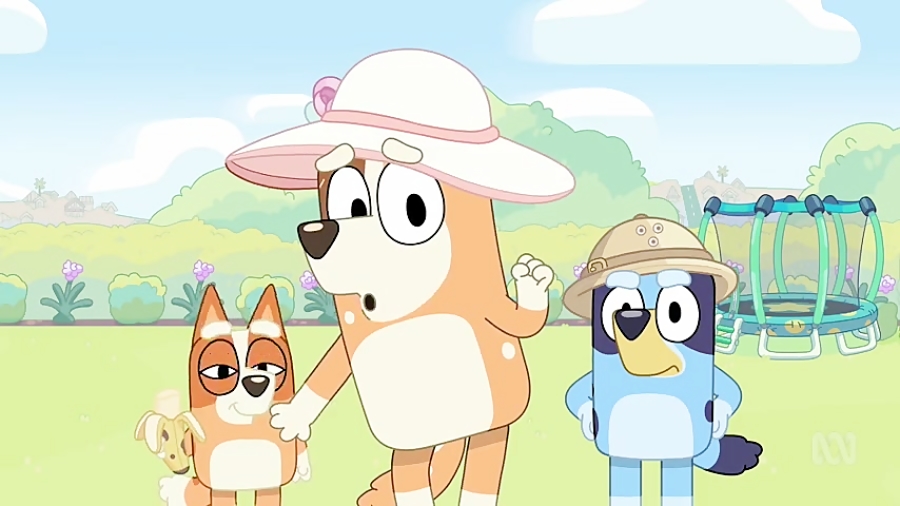 انیمیشن Bluey - فصل 1 قسمت 35 - Zoo